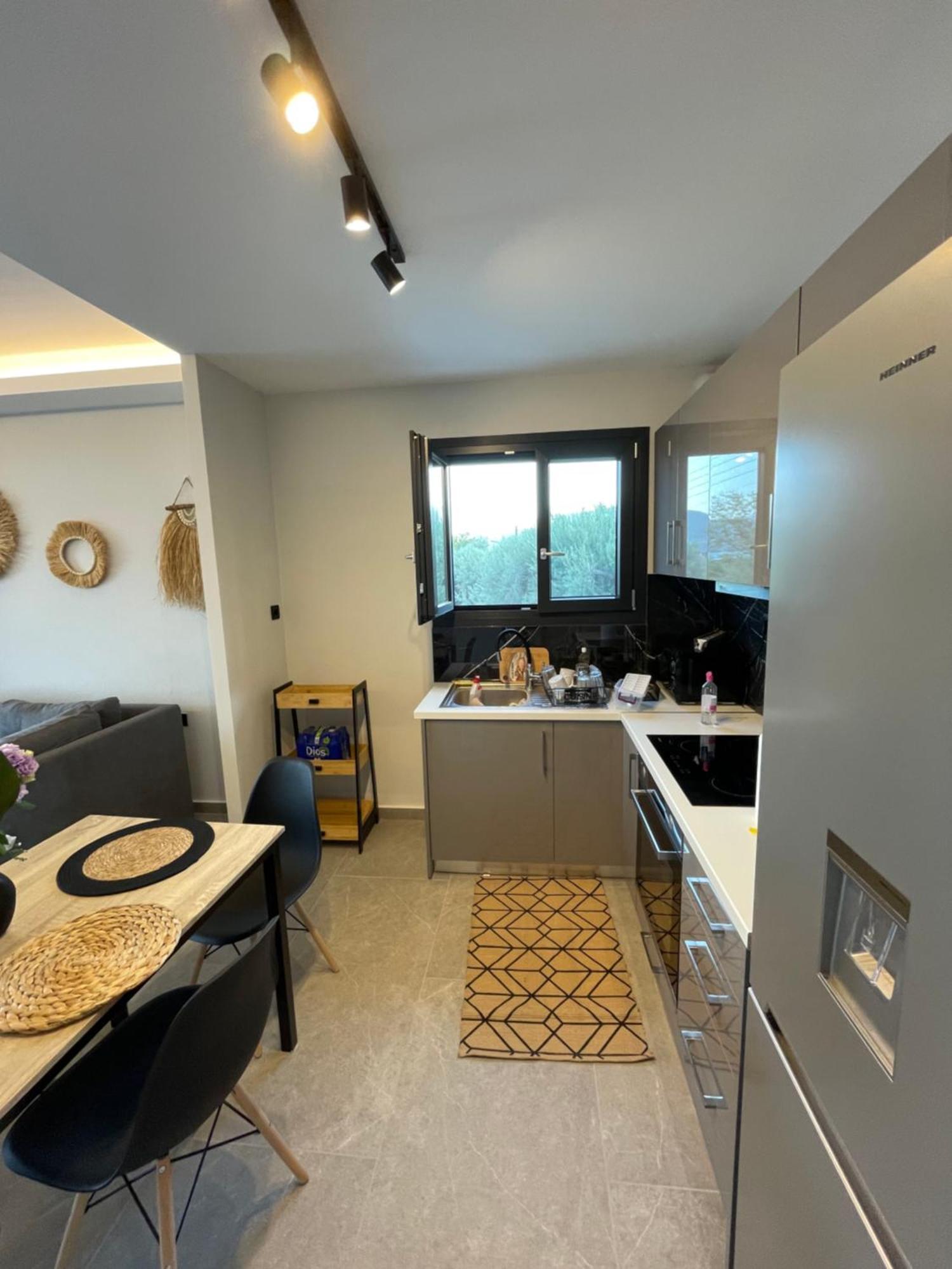 Sailors Apartments Perigiali Nydri  Extérieur photo